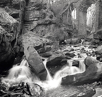 Two weeks in. 2nd picture out.