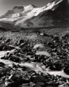 Columbia Glacier