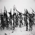 Snowy France 2