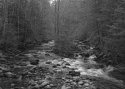 Little River, GSM Natl. Park, Tenn