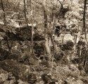 Quarry ruins, Leckhampton Hill, Gloucestershire, 1998