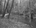 Laurel Creek, Great Smoky Mtns. Natl. Park, TN