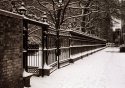 Winter Morning
