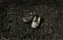Baby Shoes