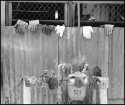 Drying Gloves