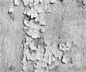 Peeling Paint