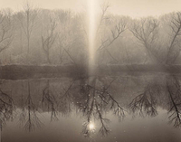 Trees and reflections in morning