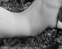 Mordancage1