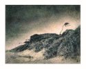 Storm on Jekyl Island