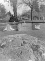 A walk in Beacon Hill Park