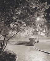 8x10#2-Tree and steps