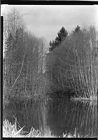 Soos Creek Reflections