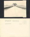 Azo postcard stock, expired 1921