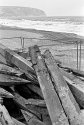 Goodbye old groynes