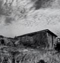 HAY&BUILDING