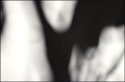 Tree Blur #2