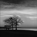 SUNRISE GRAPEVINE LAKE