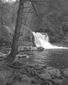 Abrams Falls
