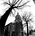 Church & TREES