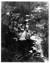linville falls