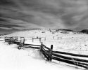 snow at elk garden