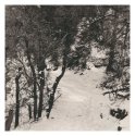 Snowit Trail