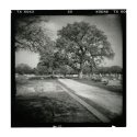 Holga 2