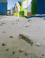 Driftwood and Pebbles - Hengistbury