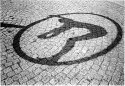 the shadow of art