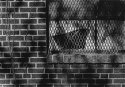 Broken Window