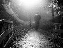 Fog