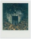 Ice cellar on Polaroid