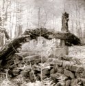 arch