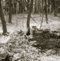 Foundation