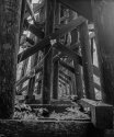 Tressel in Mono