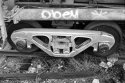 OBEY!