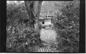 Grace's old house