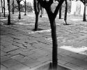 Granada Courtyard