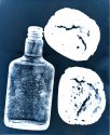 Blue Bottle and Bread
