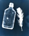 Blue Bottle and Feather