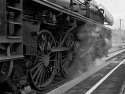 Steamlok 01 159 waiting at Rotweill station.