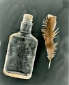 Bottle and Feather