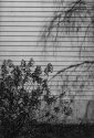 Shadow on the House