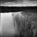 Lakeshore, Riding Mountain National Park; Manitoba, Canada