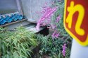 色々色