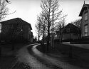Winter afternoon