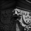 Lion's Head, Palazzo Medici-Riccardi