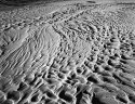 Tide Patterns.