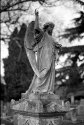 Minolta SR-T100x tests