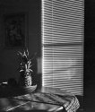 Shaded